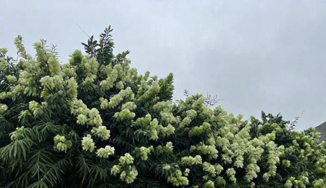 名录查询在供求商机中的适用情况与限制